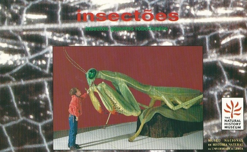 insetoes